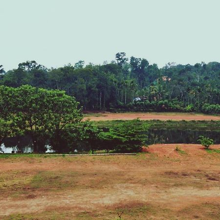 Agastya Lake View Coorg Madikeri Ngoại thất bức ảnh