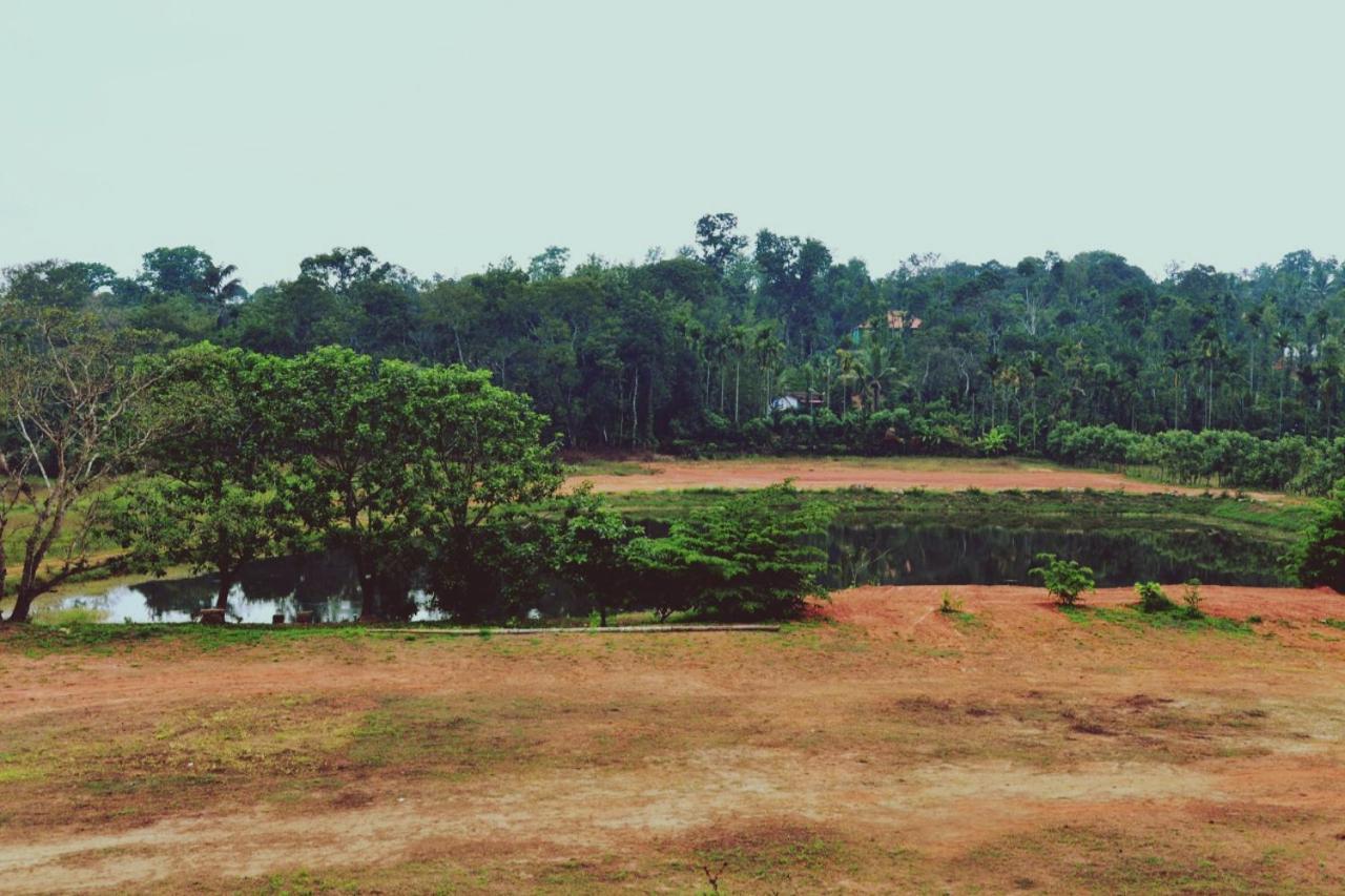 Agastya Lake View Coorg Madikeri Ngoại thất bức ảnh
