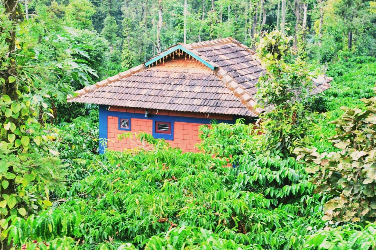 Agastya Lake View Coorg Madikeri Ngoại thất bức ảnh
