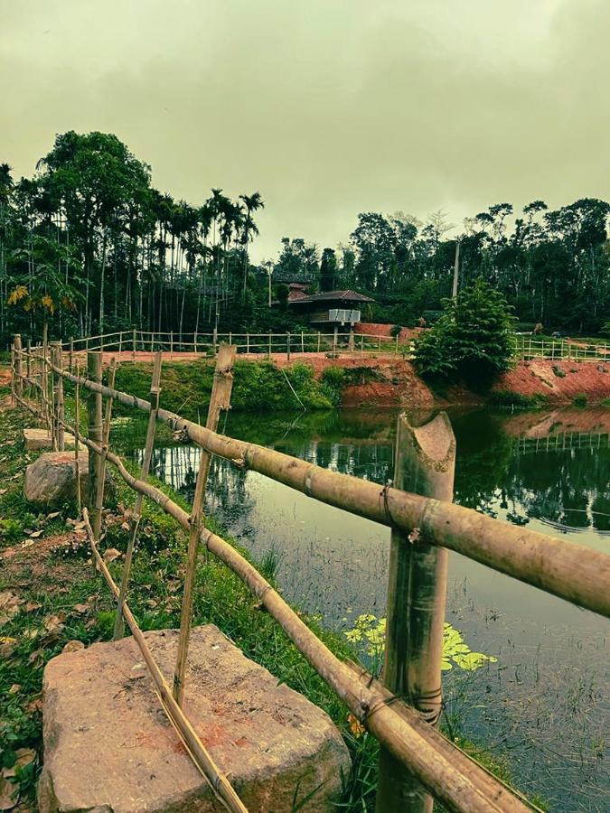 Agastya Lake View Coorg Madikeri Ngoại thất bức ảnh