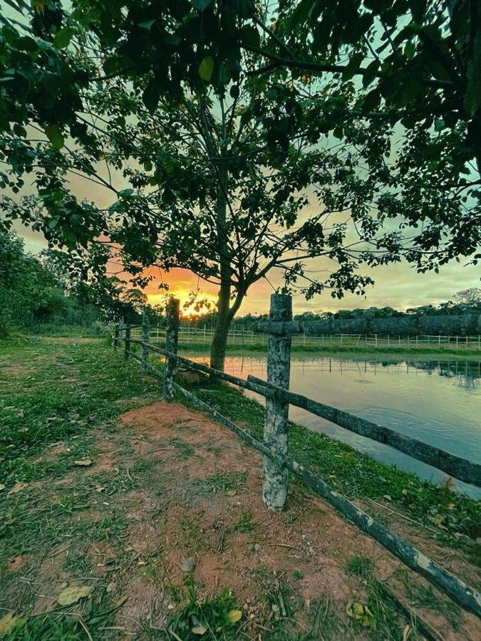 Agastya Lake View Coorg Madikeri Ngoại thất bức ảnh