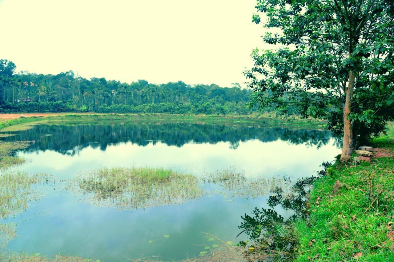 Agastya Lake View Coorg Madikeri Ngoại thất bức ảnh